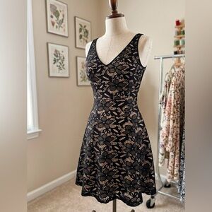 New York & Company Black Lace Mini Dress